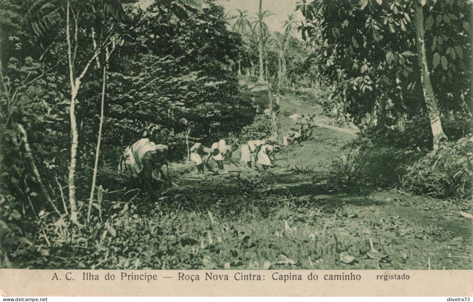 SÃO TOME E PRINCIPE - ILHA DO PRINCIPE - Roça Nova Cintra - Capina Do Caminho - Sao Tome En Principe