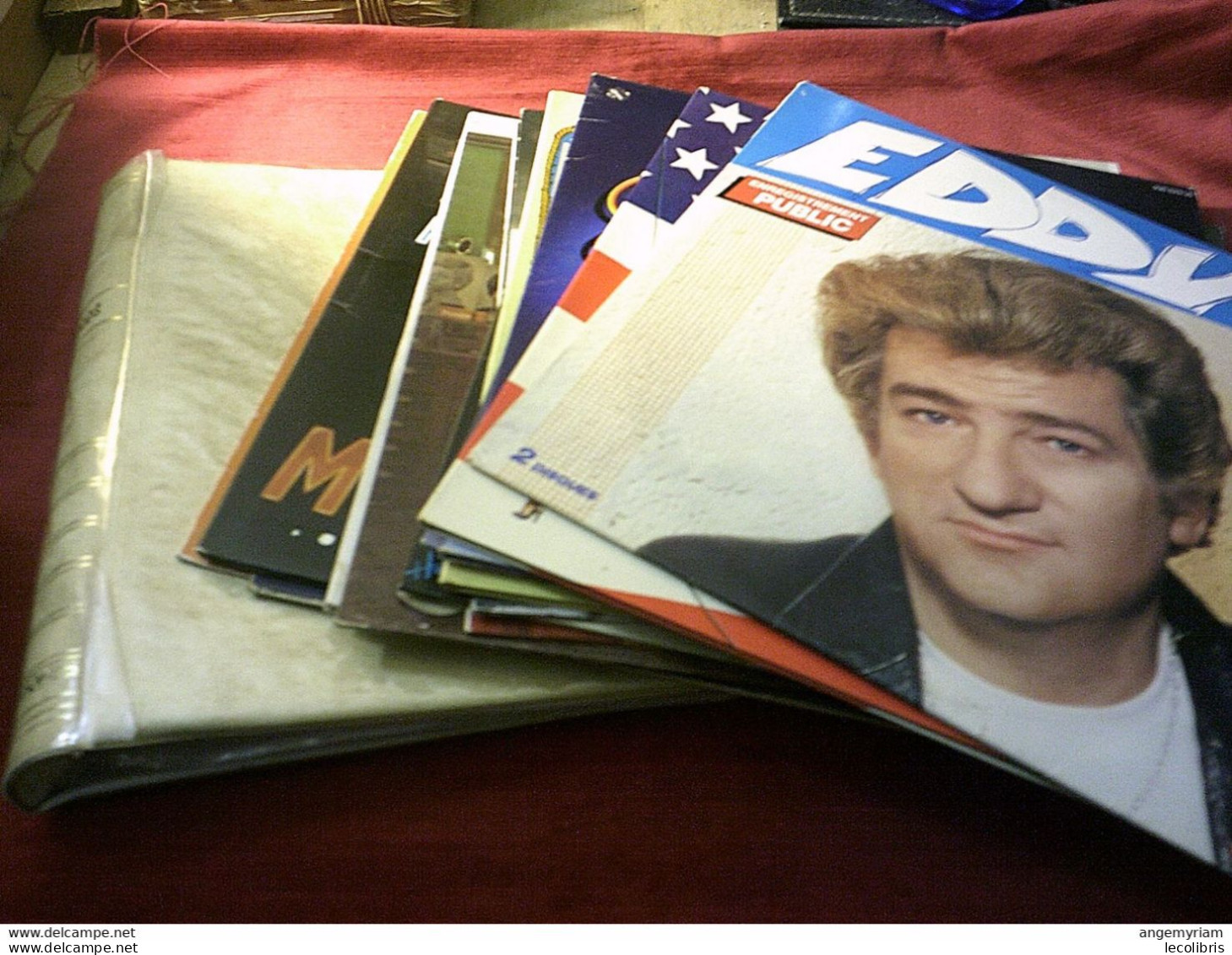 COLLECTION  DE 13  ALBUMS  33 TOURS  DE EDDY MITCHELL DANS  CLASSEUR - Collections Complètes