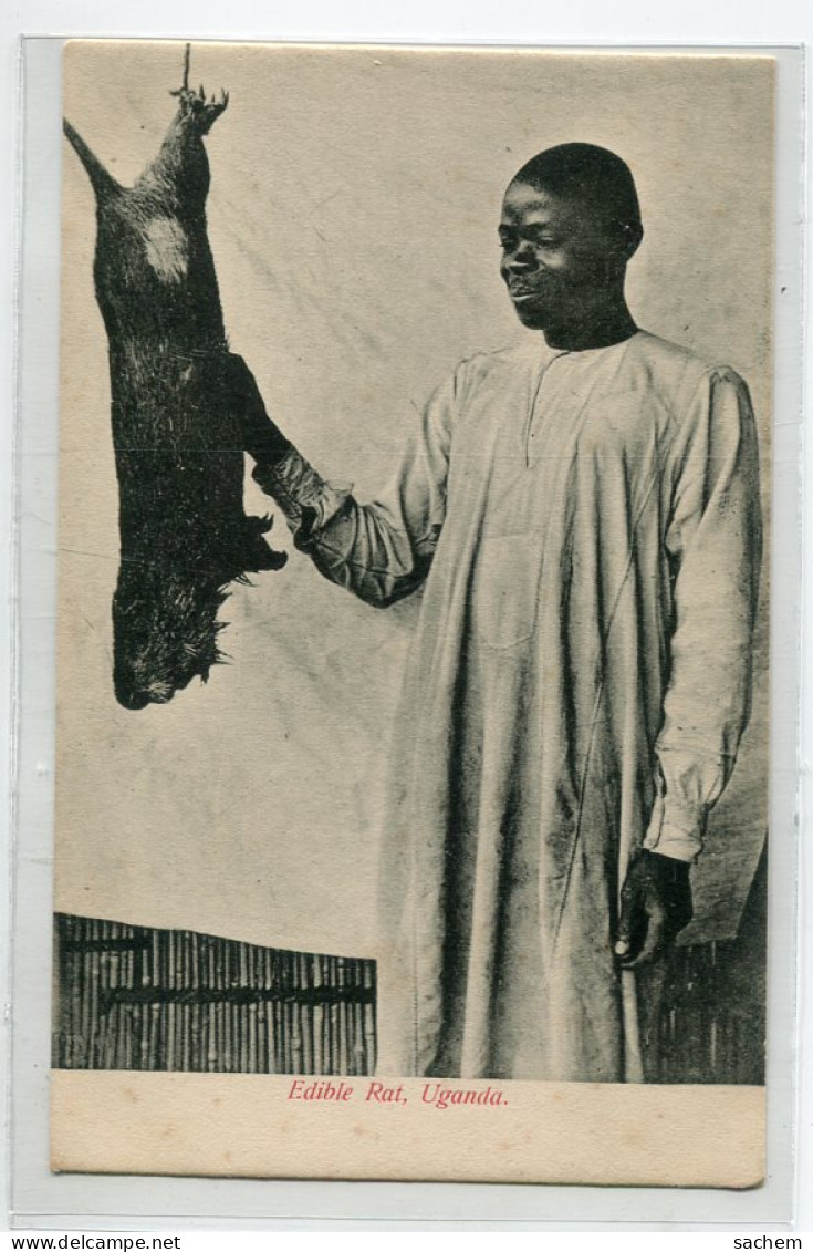  UGANDA Carte RARE  Edible Rat Jeune Indigène Capture Rat Comestibles   1900   Dos Non Divisé   OUGANDA  D06 2021 - Uganda