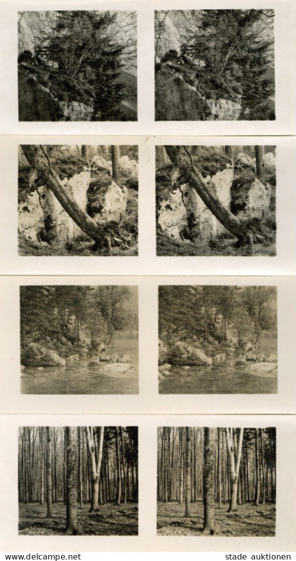 Raumbilder Aus Der Lebensgemeinschaft Des Waldes Serie Mit 150 Bildern I-II - War 1939-45
