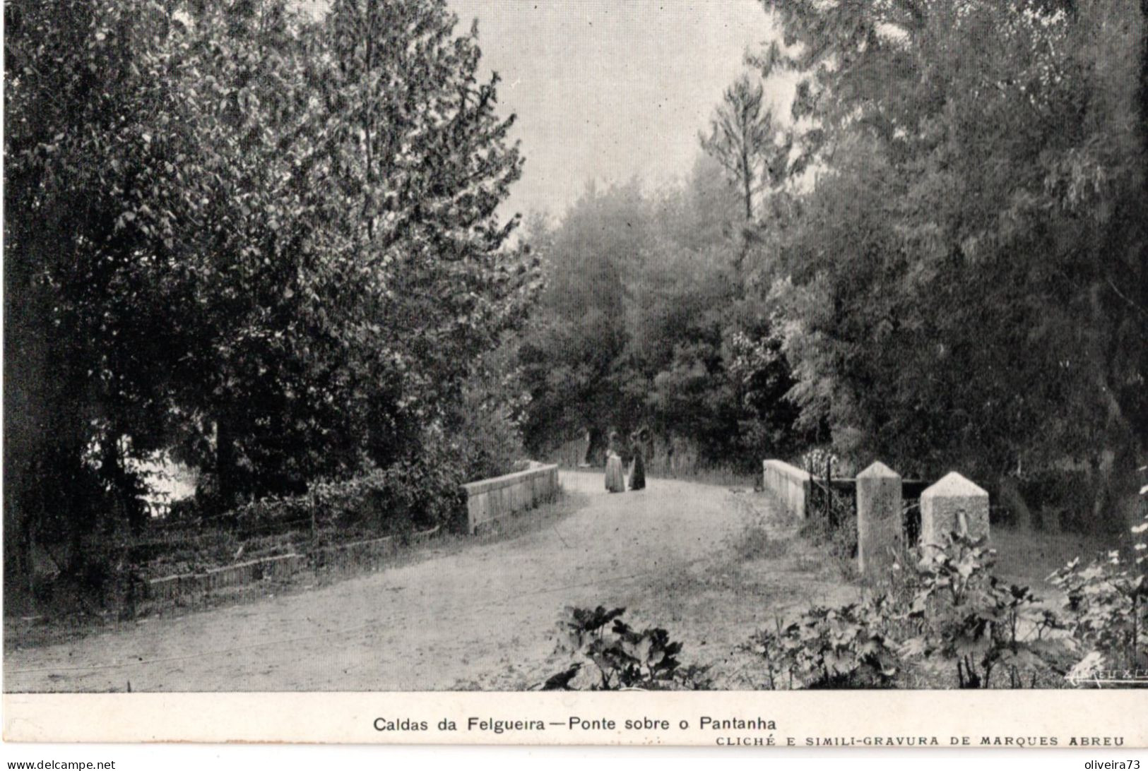 CALDAS DA FELGUEIRA - Ponte Sobre O Pantanha - PORTUGAL - Viseu