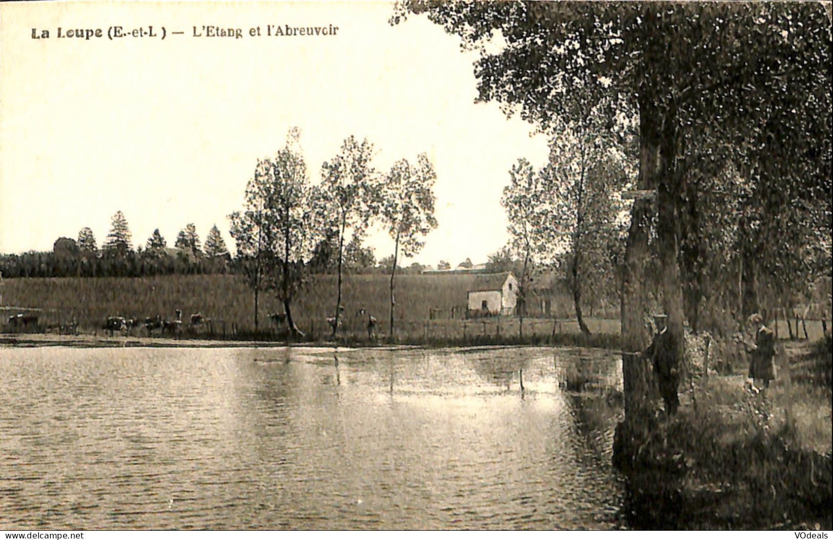 France (28) Eure Et Loire - La Loupe - L'étang Et L'Abreuvoir - La Loupe