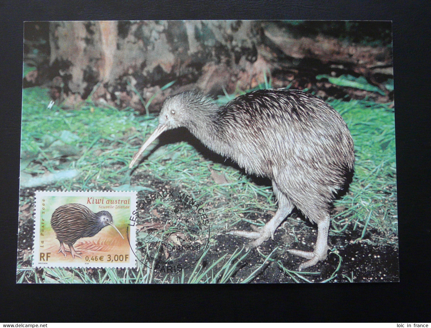 Carte Maximum Card Oiseau Kiwi Bird France 2000 - Kiwis