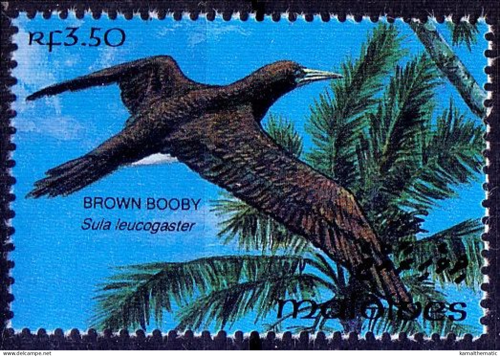 Maldives 1993 MNH, Brown Booby, Sea Birds - Albatros