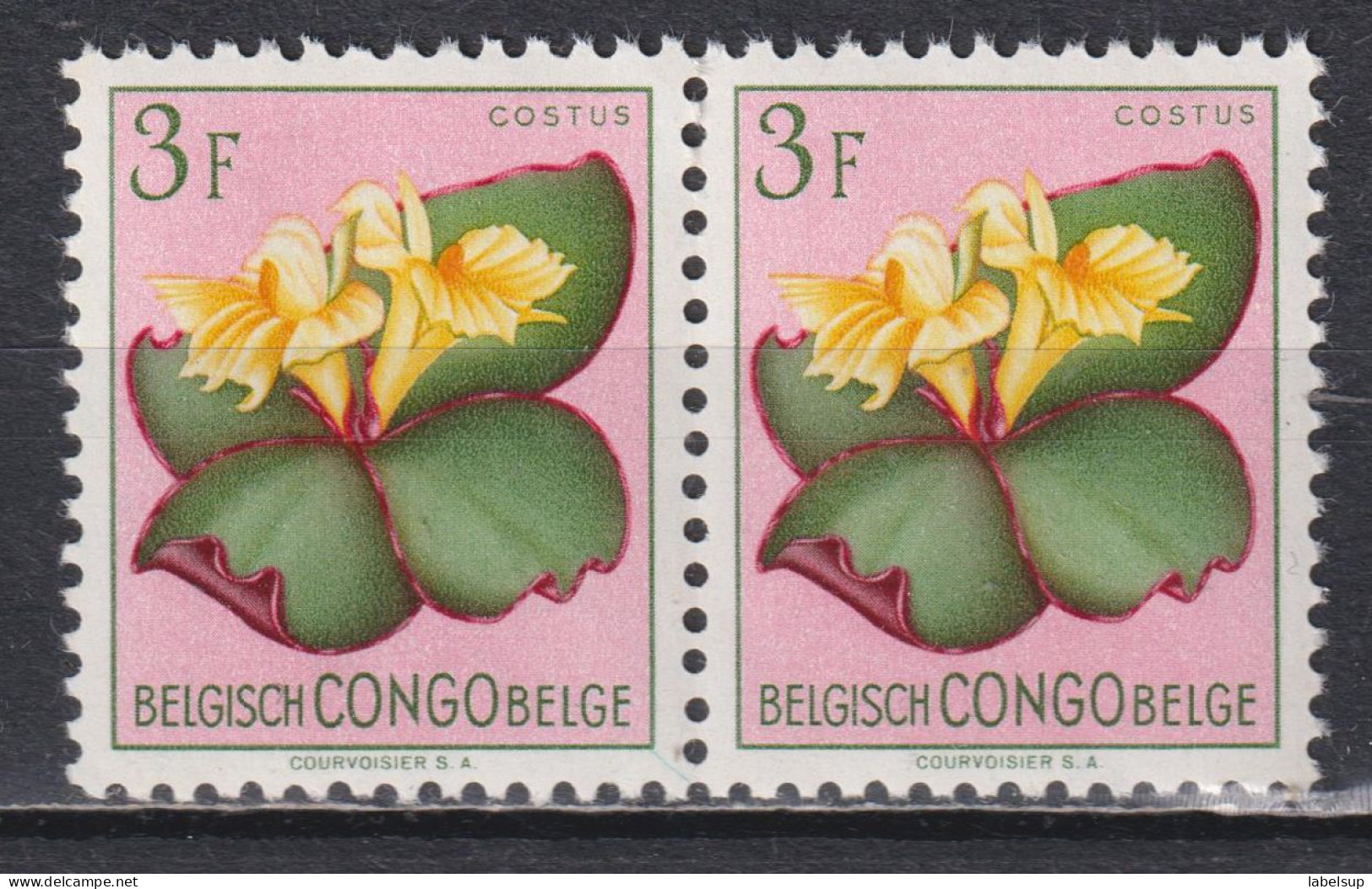 Paire De Timbres Neufs** Du Congo Belge De 1952 Fleurs MNH N° 314 - Unused Stamps