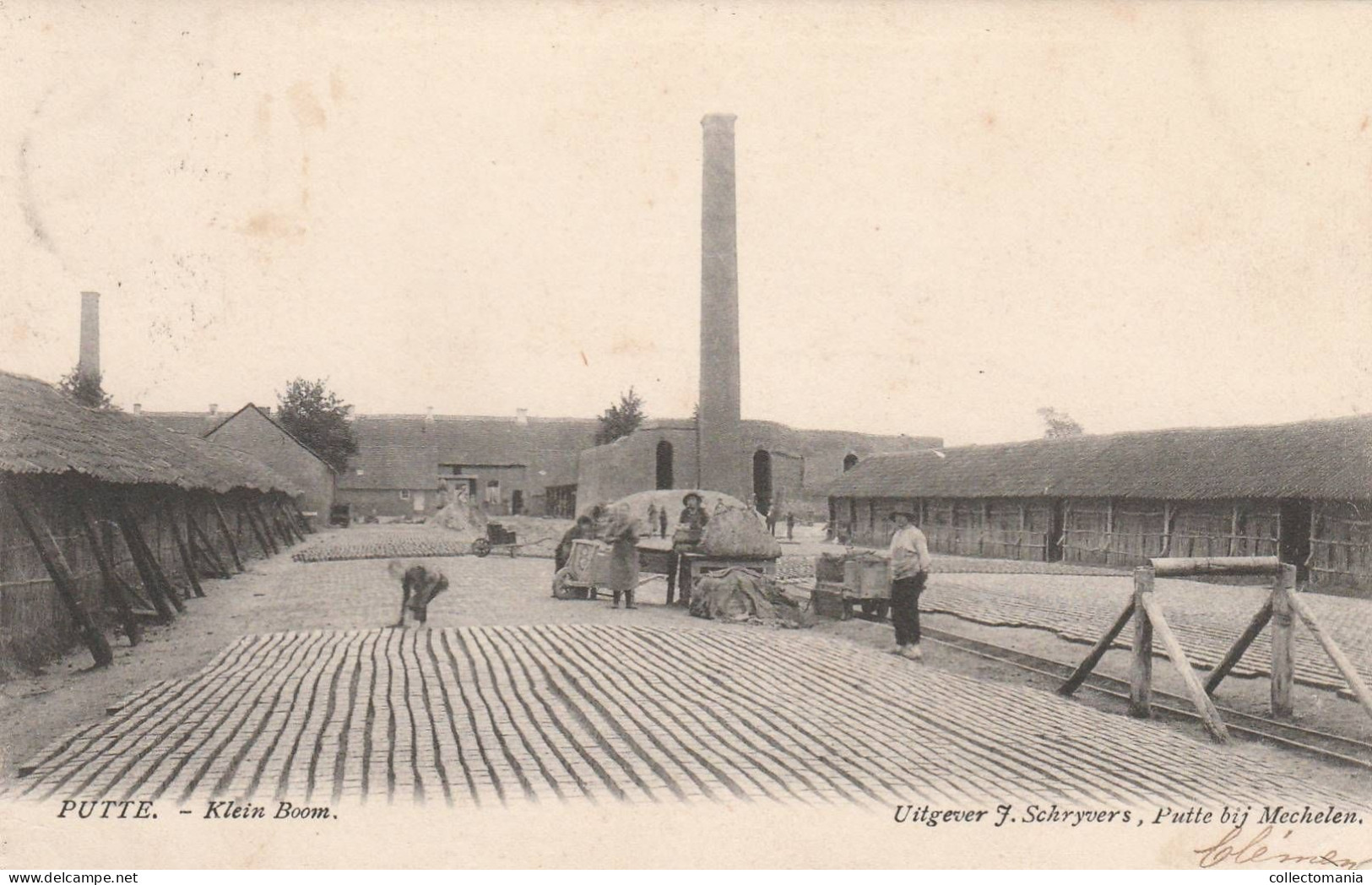 1 Oude Postkaart  Putte  Bij Mechelen  Klein Boom  1905  Uitgever Schrijvers - Putte