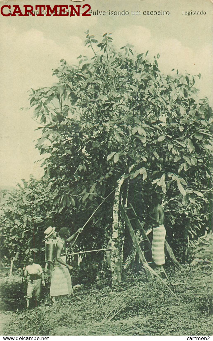 SAO TOME ILHA DO PRINCIPE PULVERISANDO UM CACOEIRO CACAO REGISTADO AFRICA PORTUGAL AFRIQUE - Sao Tome And Principe