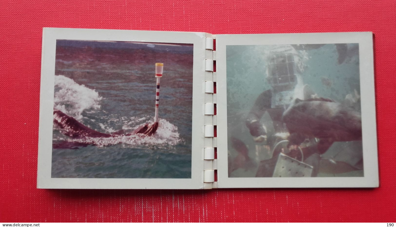 Album+8 photos.Photo Shop:Marineland-California.Dolphins,...