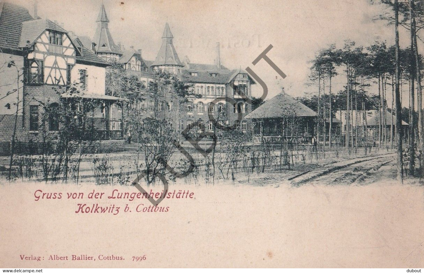 Postkaart/Carte Postale - Kolkwitz - Gruss (C5106) - Kolkwitz