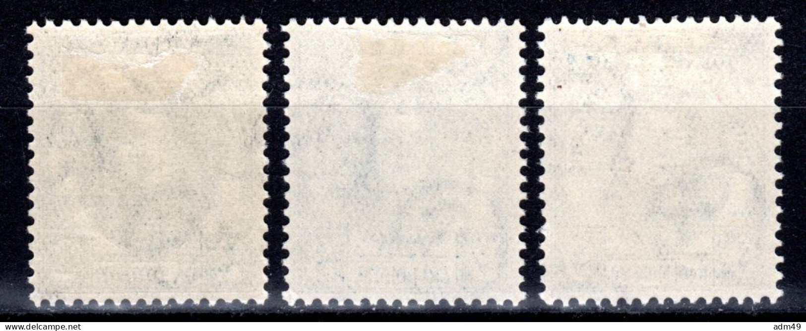 IRLAND, 1929 Jahrestag Der Bürgerrechte Für Katholiken, Ungebraucht * - Unused Stamps