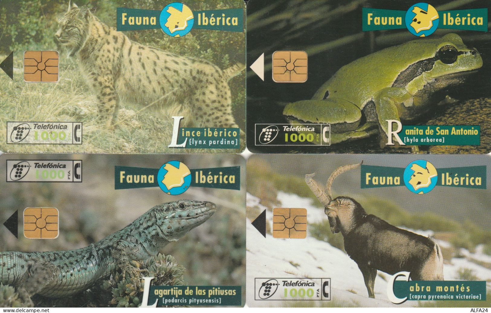 PHONE CARD 4 SPAGNA FAUNA (CK976 - Werbekarten