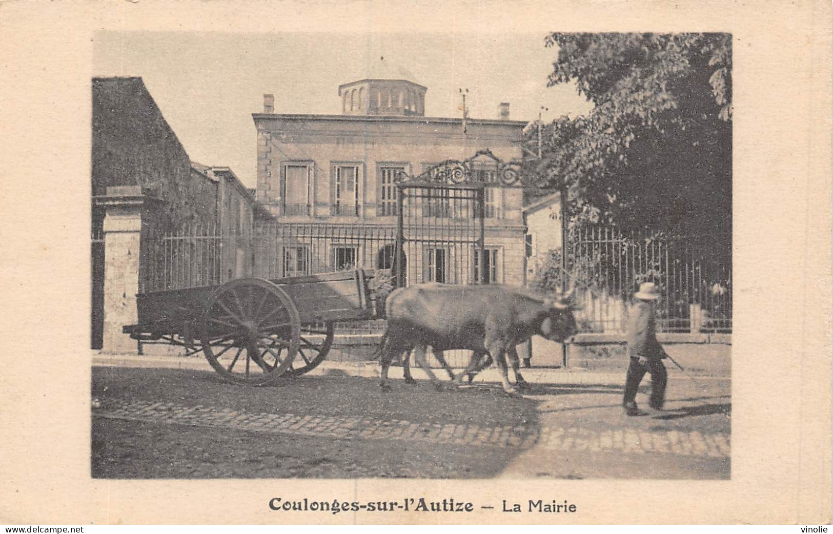 PIE-23-GOLL. 7395 : COULONGES-SUR-L'AUTIZE. ATTELAGE DE BOEUFS. MAIRIE - Coulonges-sur-l'Autize