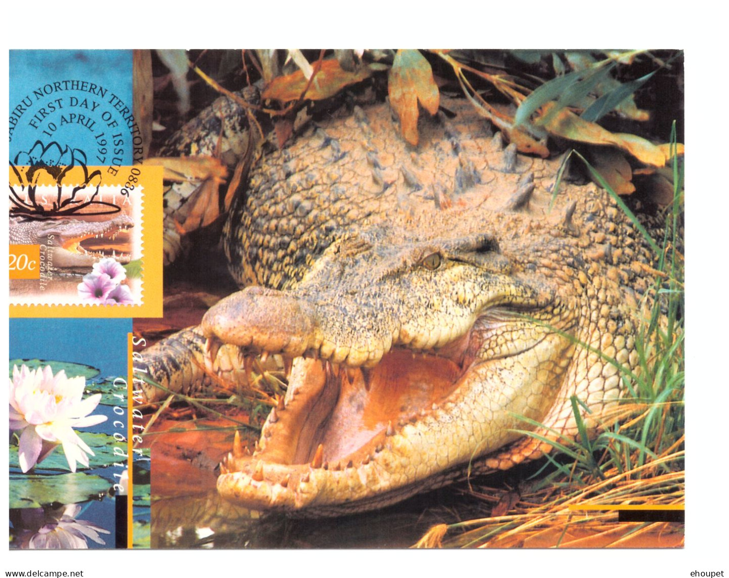 FDC 10 AVRIL 1997 SALWATER CROCODILE - Cartes-Maximum (CM)