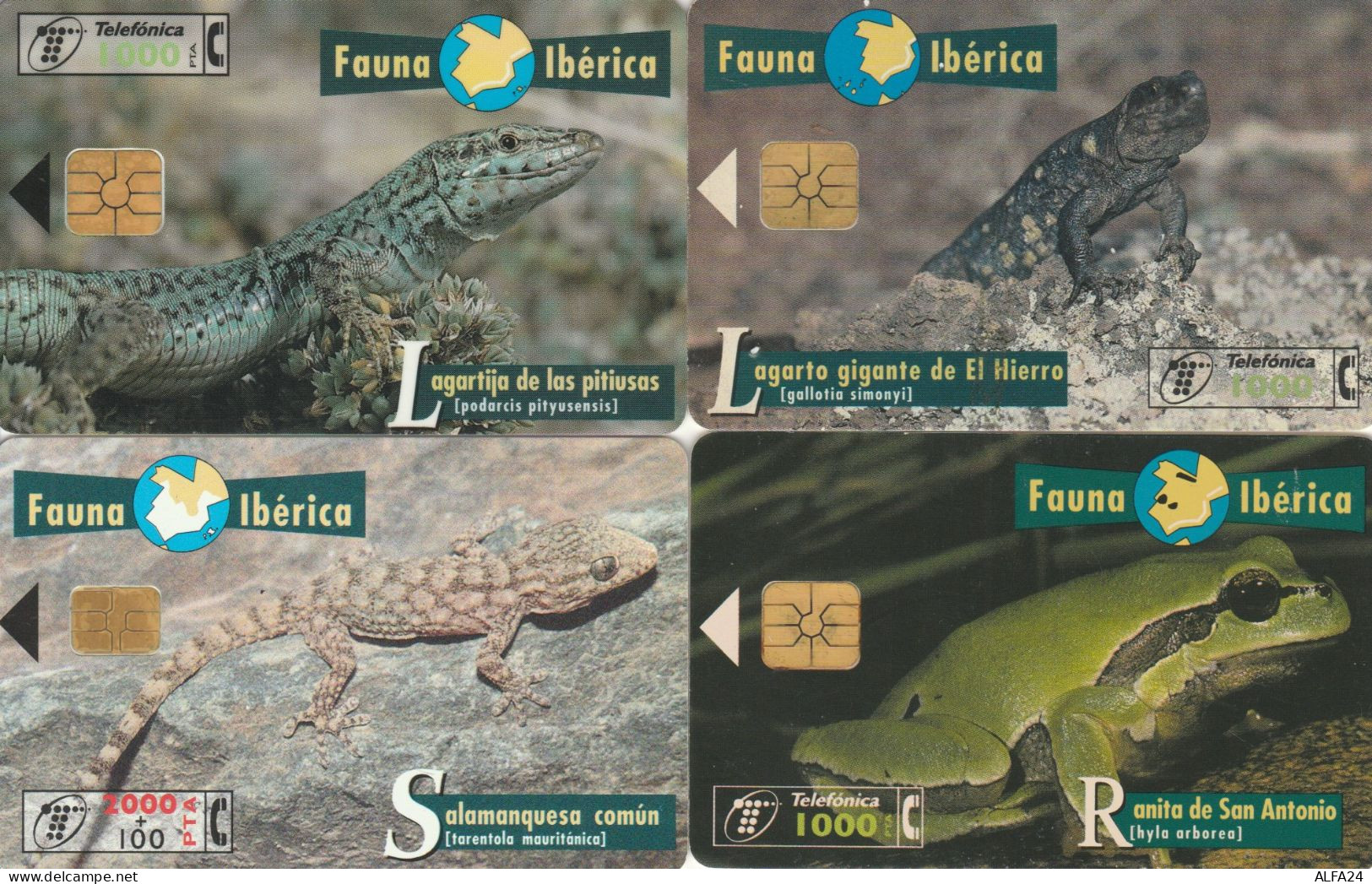 LOT 4 PHONE CARD SPAGNA (PV588 - Autres & Non Classés