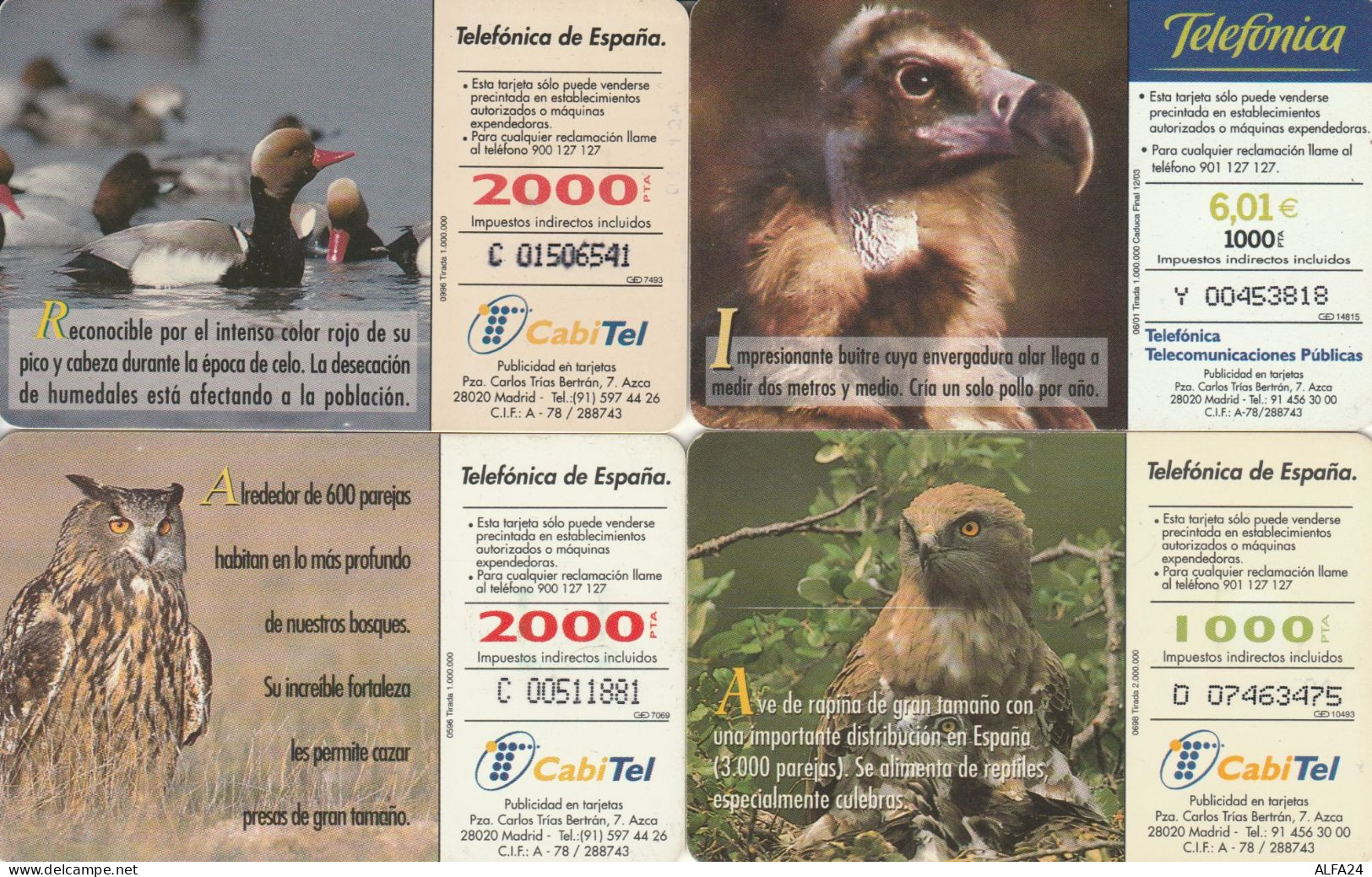 LOT 4 PHONE CARD SPAGNA (PV587 - Autres & Non Classés