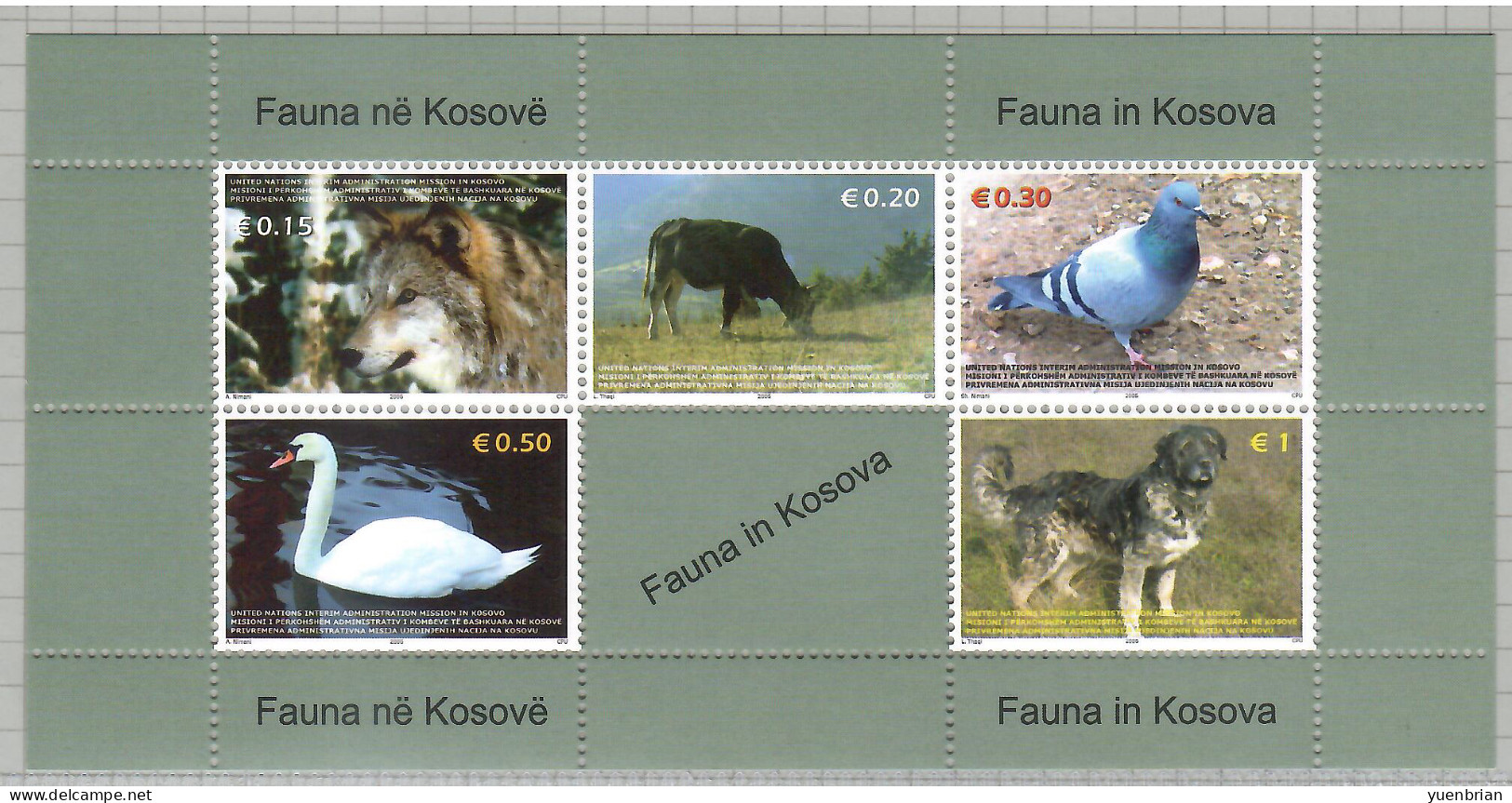 Kosovo 2006, Bird, Birds, Swan, M/S Of 5v, MNH** - Zwanen