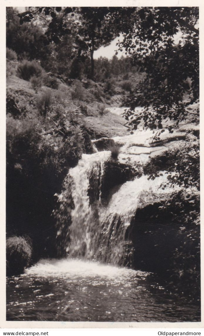 POSTCARD PORTUGAL - FORNINHOS - AGUIAR DA BEIRA - GUARDA - Guarda