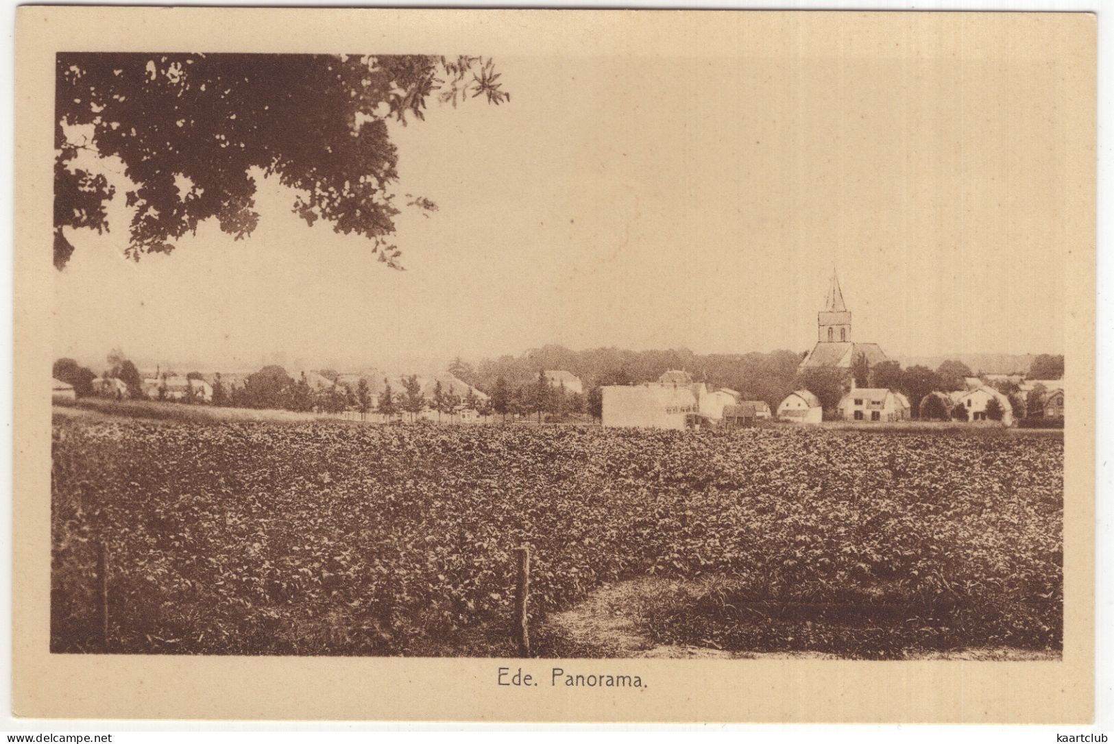 Ede. Panorama - (Gelderland, Nederland/Holland) - (Weenenk & Snel - Ede 15) - Ede