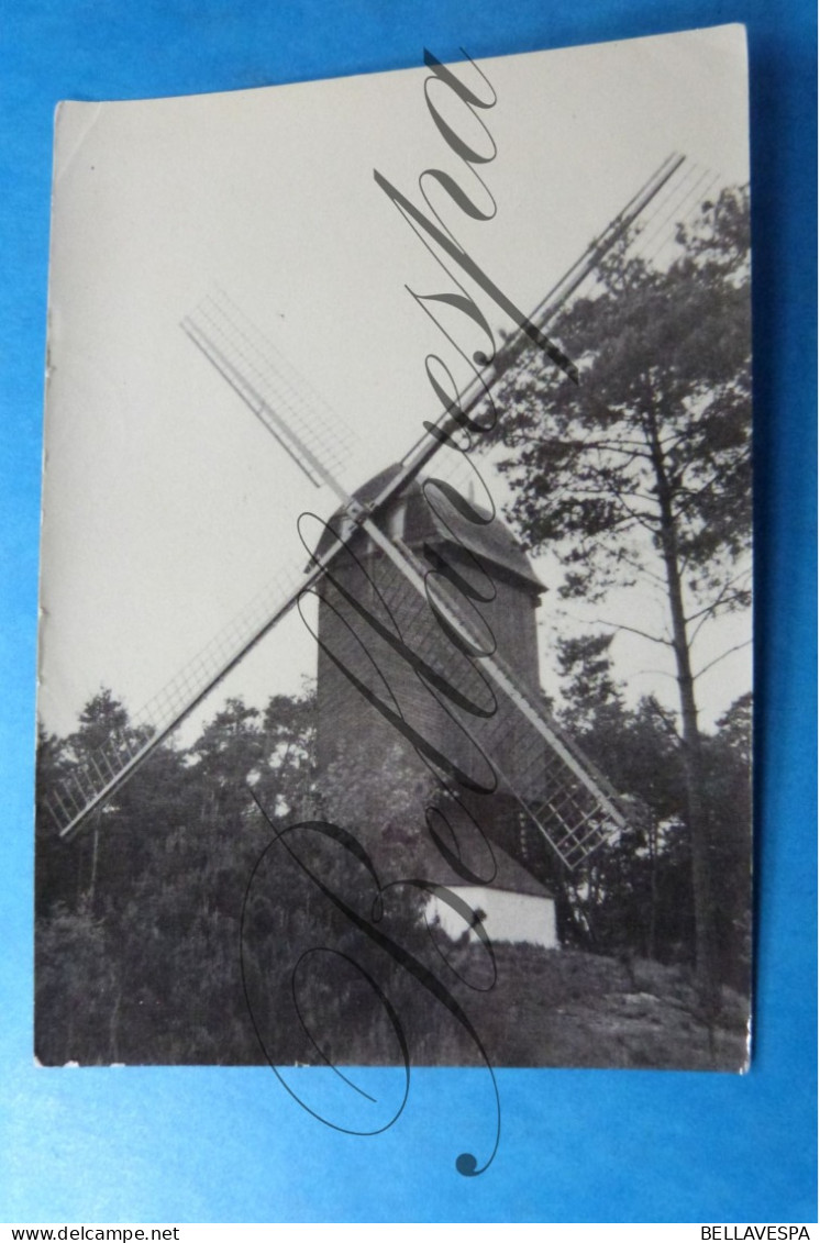 Lommel Windmolen Moulin A Vent. - Lommel