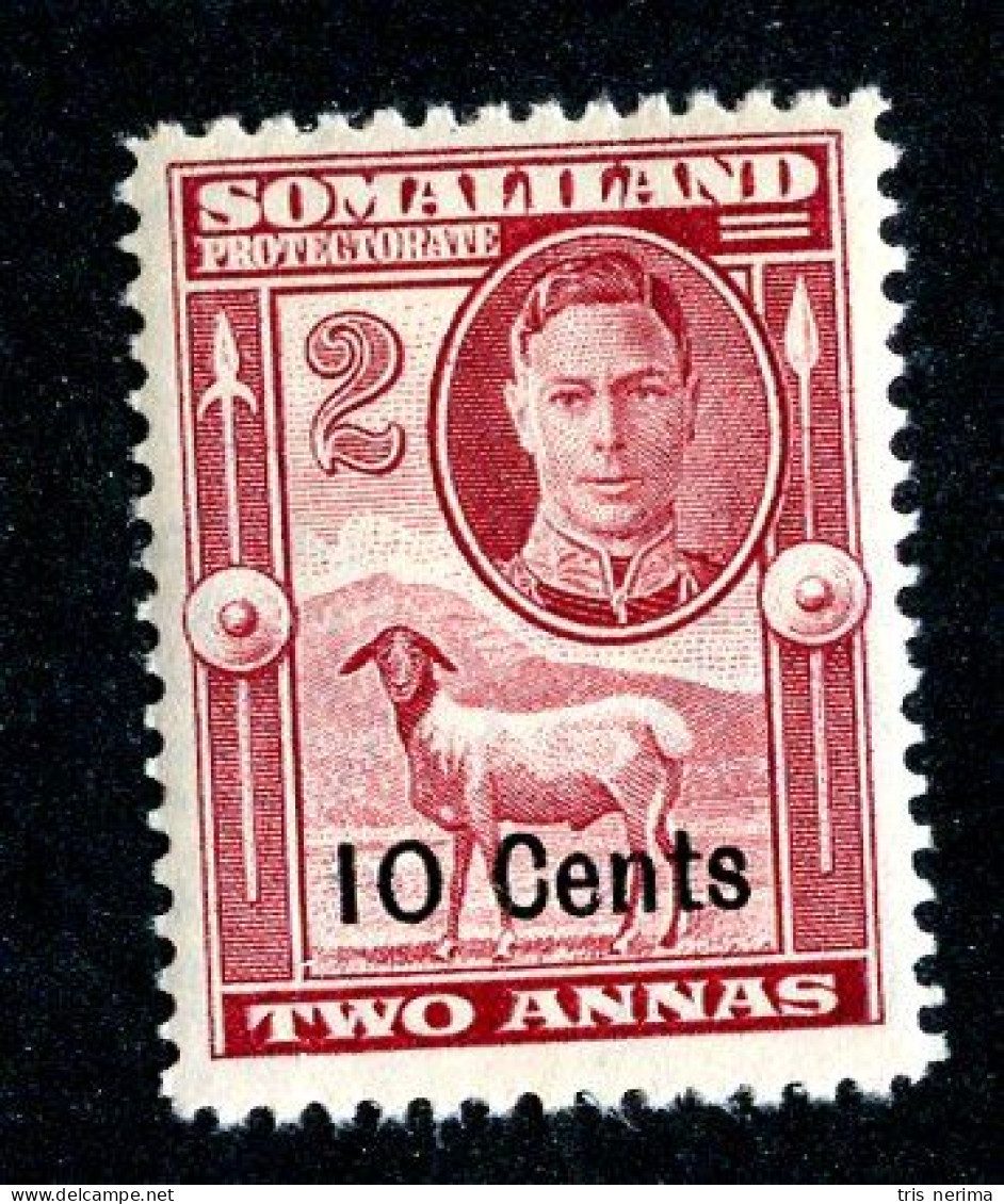 532 BCXX 1951 Scott # 117 Mnh** (offers Welcome) - Somaliland (Protectorate ...-1959)