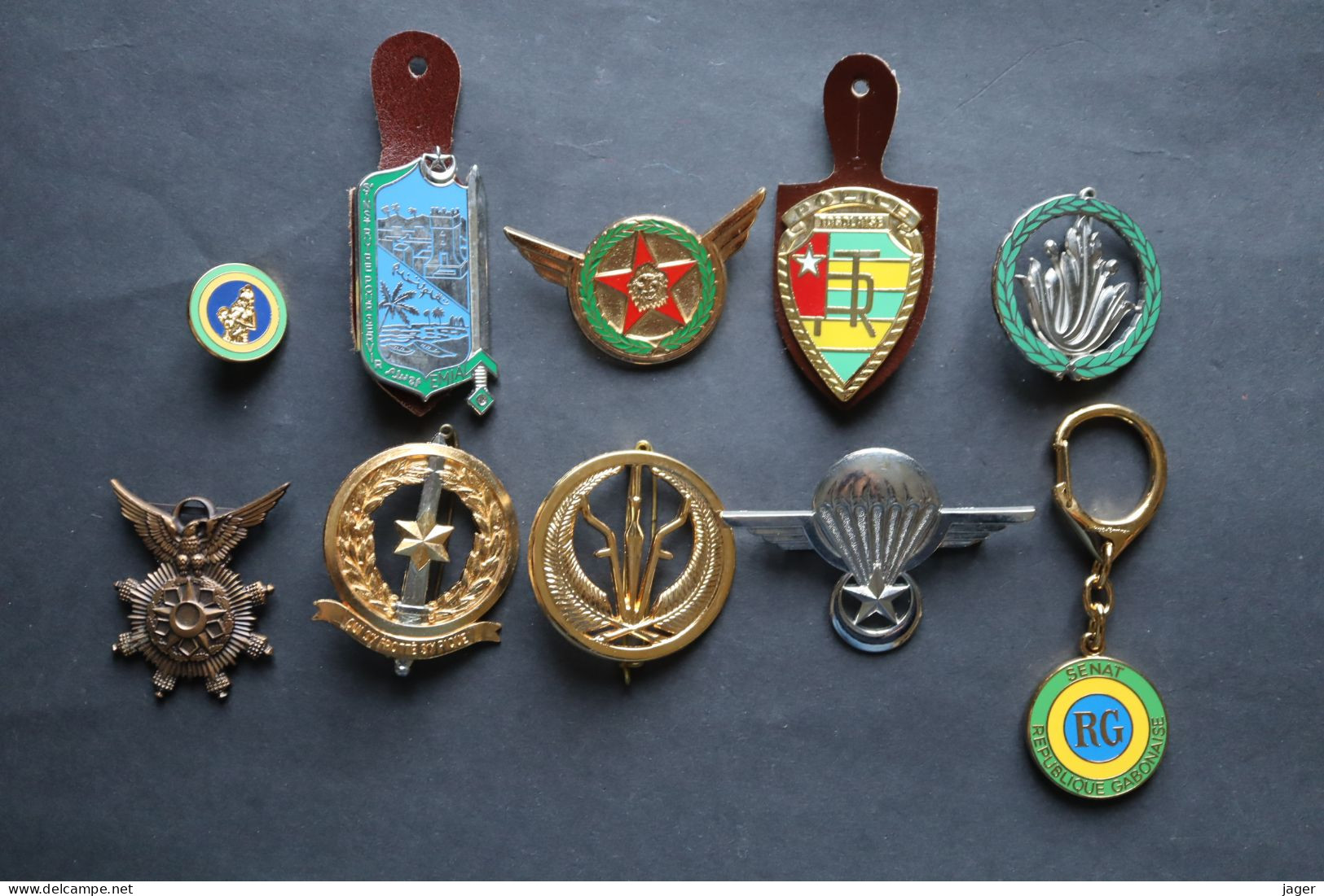 10  Insignes Médailles   Divers AFRIQUE - Autres & Non Classés