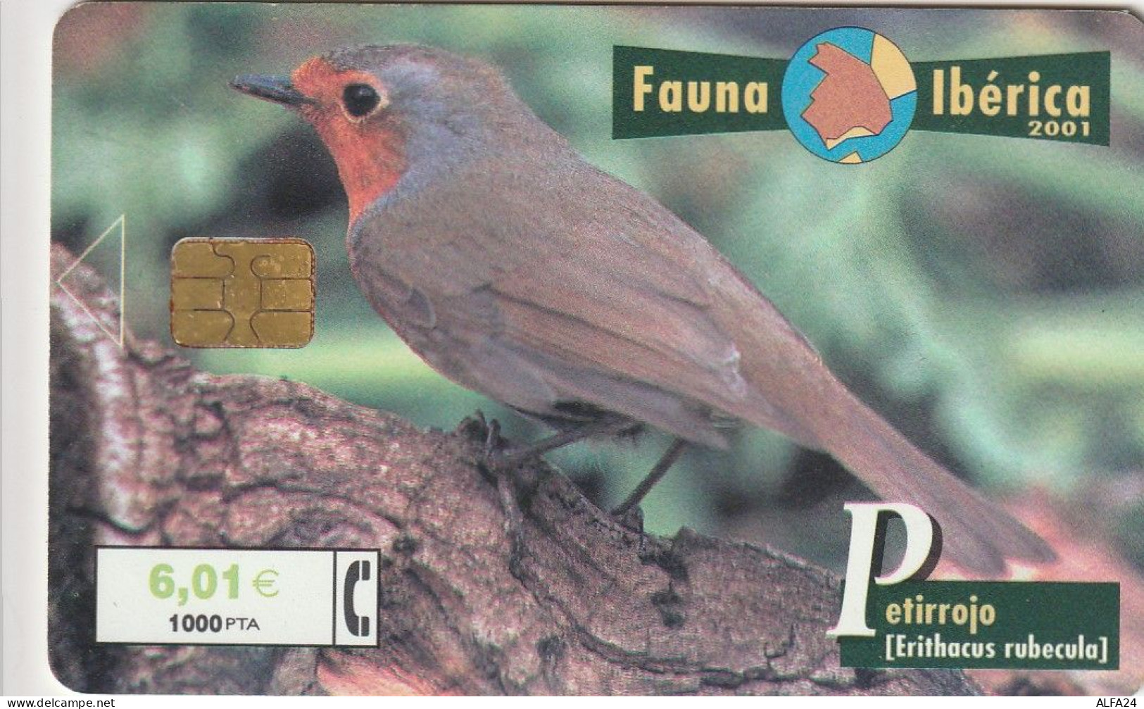 PHONE CARD SPAGNA  (CV767 - Werbekarten