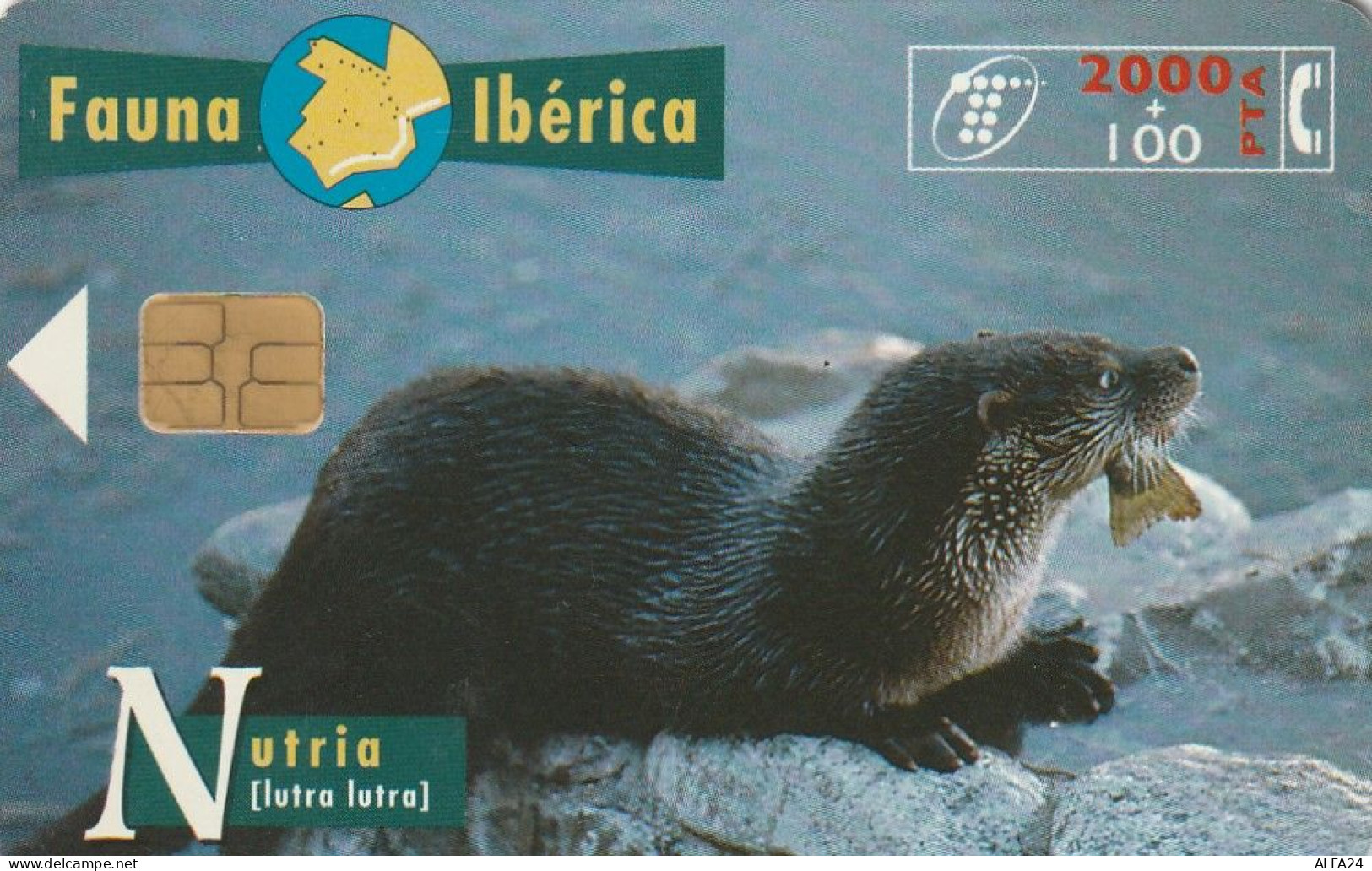 PHONE CARD SPAGNA  (CV766 - Werbekarten