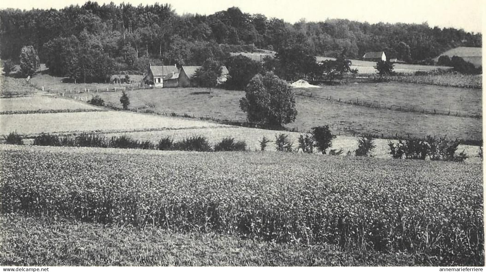 Amougies Panorama - Mont-de-l'Enclus