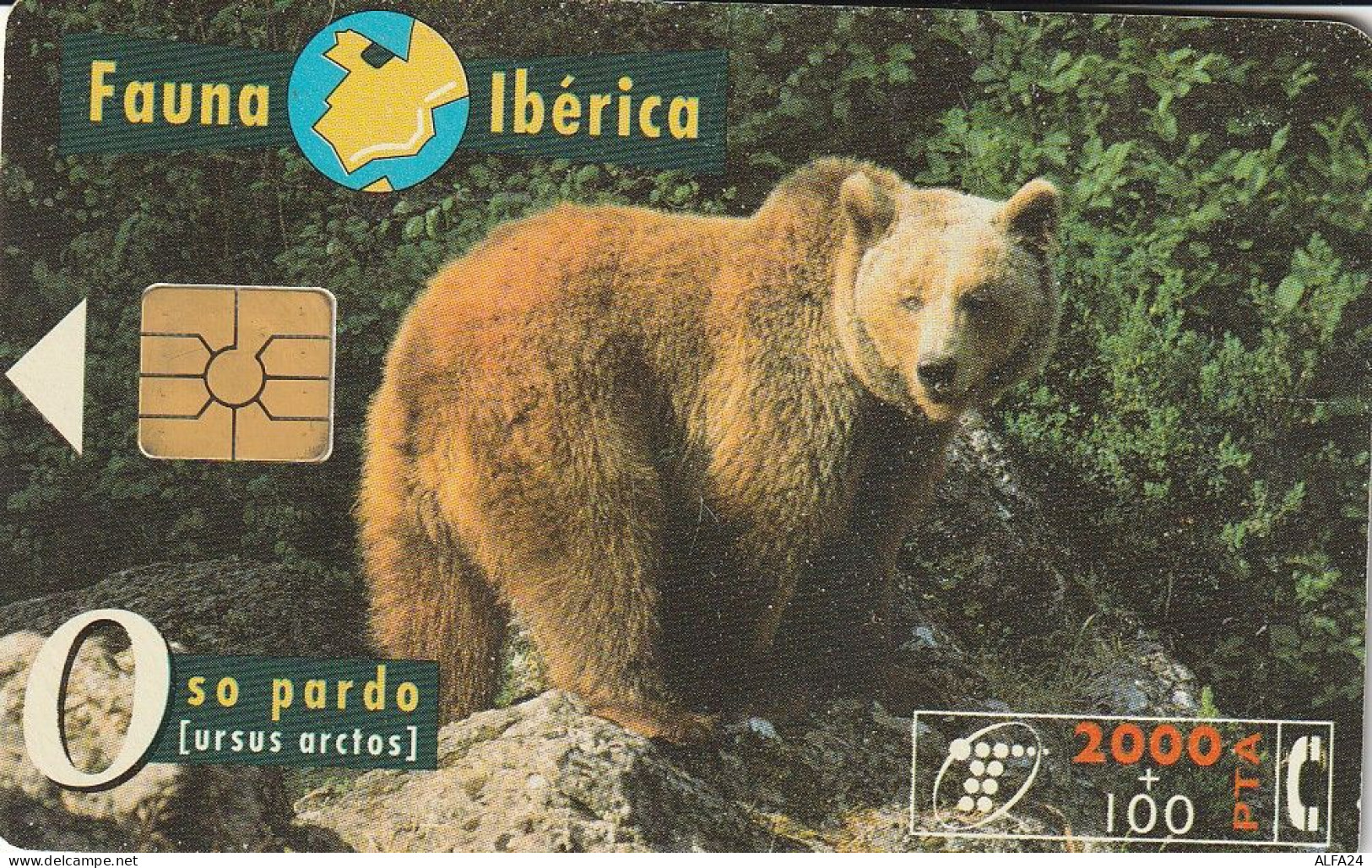 PHONE CARD SPAGNA FAUNA IBERICA  (CV6918 - Emissions Basiques