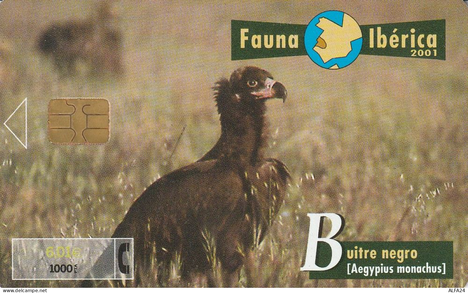 PHONE CARD SPAGNA FAUNA IBERICA  (CV6902 - Basisausgaben