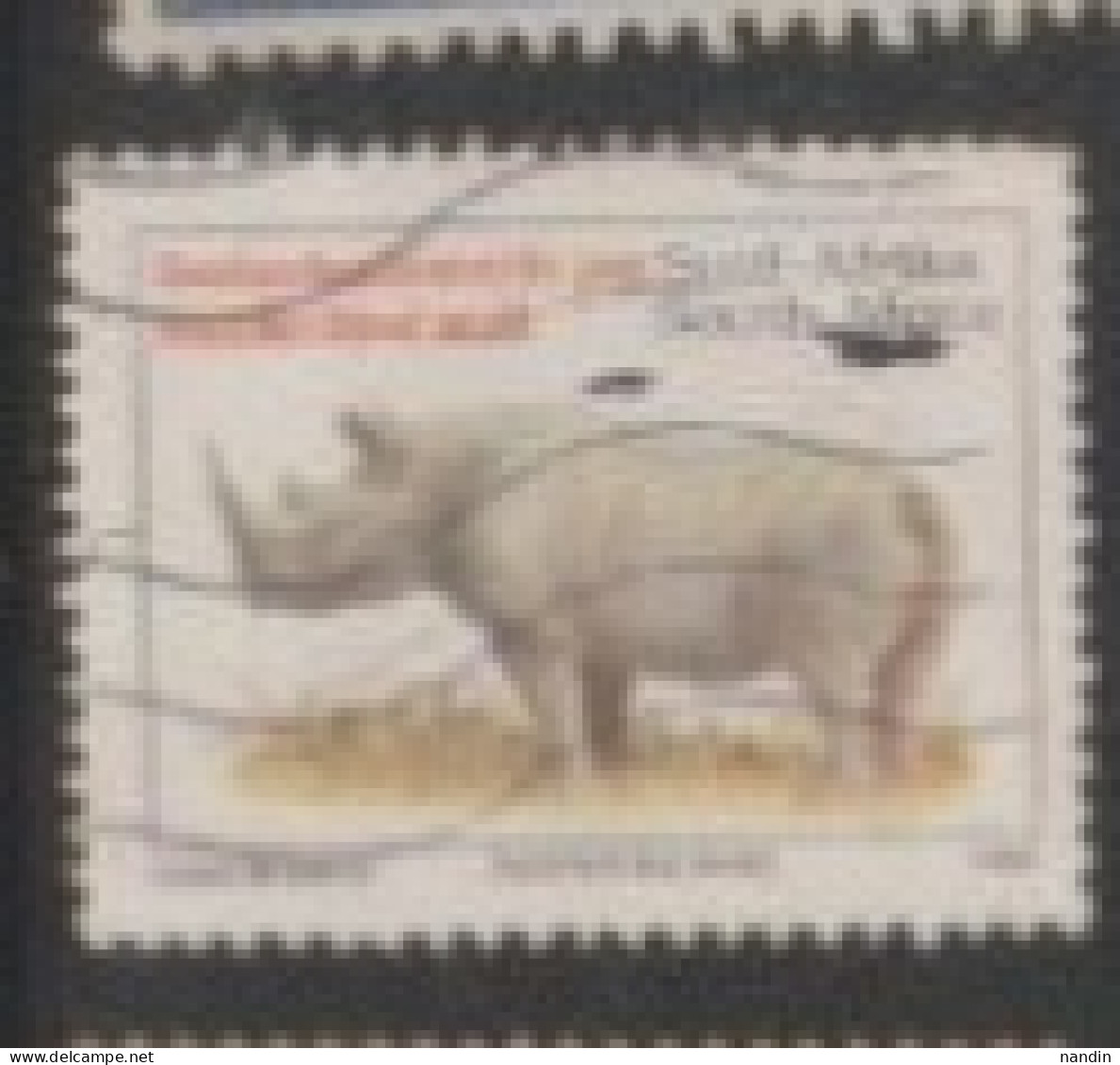 1976 SOUTH AFRICA STAMP (USED) On Endangered Wildlife /Fauna/Mammals /Diceros Bicornis/, Black Rhinoceros - Rinoceronti