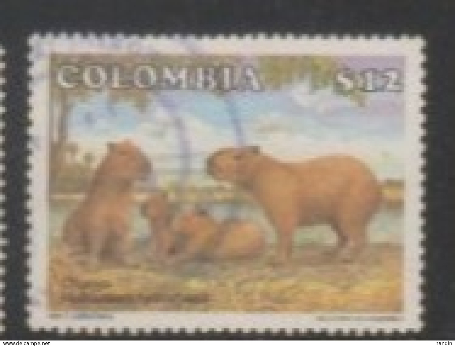 1985 COLOMBIA STAMP (USED) On WILDLIFE/Hydrochoerus Hydrochaeri /The Capybara Or Greater Capybara Is A Giant Cavy Rodent - Rongeurs