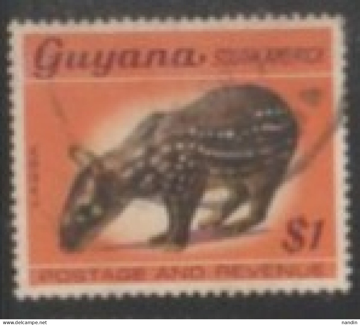 1968 GUYANA STAMP (USED) On Wildlife/Cuniculus Paca/Lowland Paca - Rongeurs