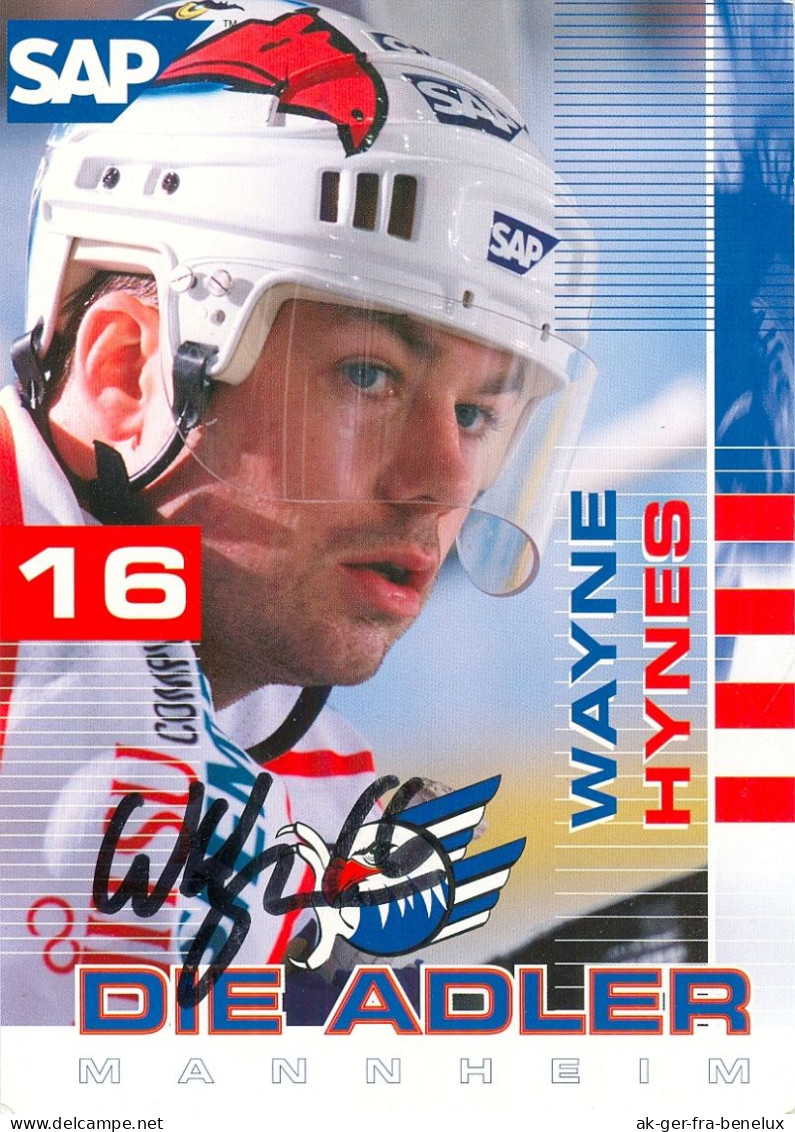 Autogramm Eishockey AK Wayne Hynes Adler Mannheim 01-02 MERC ERC Hannover Scorpions Hamburg Freezers SERC Schwenningen - Wintersport