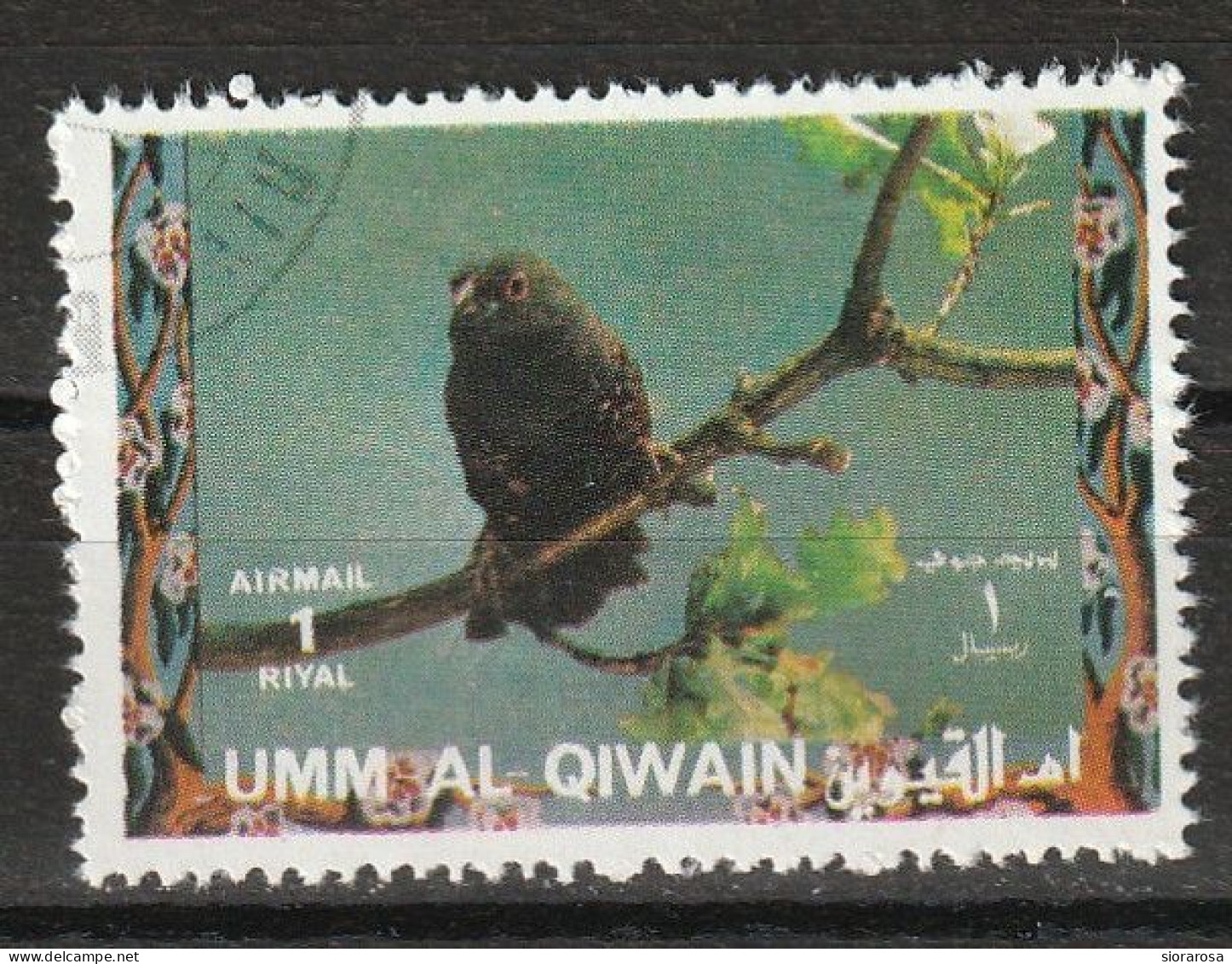 Umm Al Qiwain 1972  Uccelli Birds - Dusky Twinspot (Euschistospiza Cinereovinacea) CTO - Moineaux