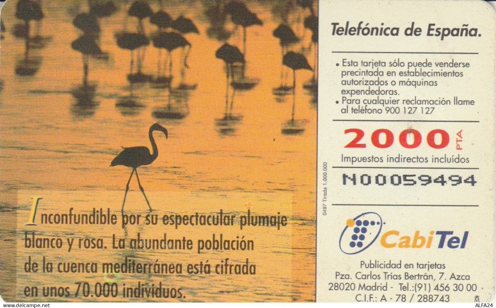 PHONE CARD SPAGNA (PY2516 - Telefonica