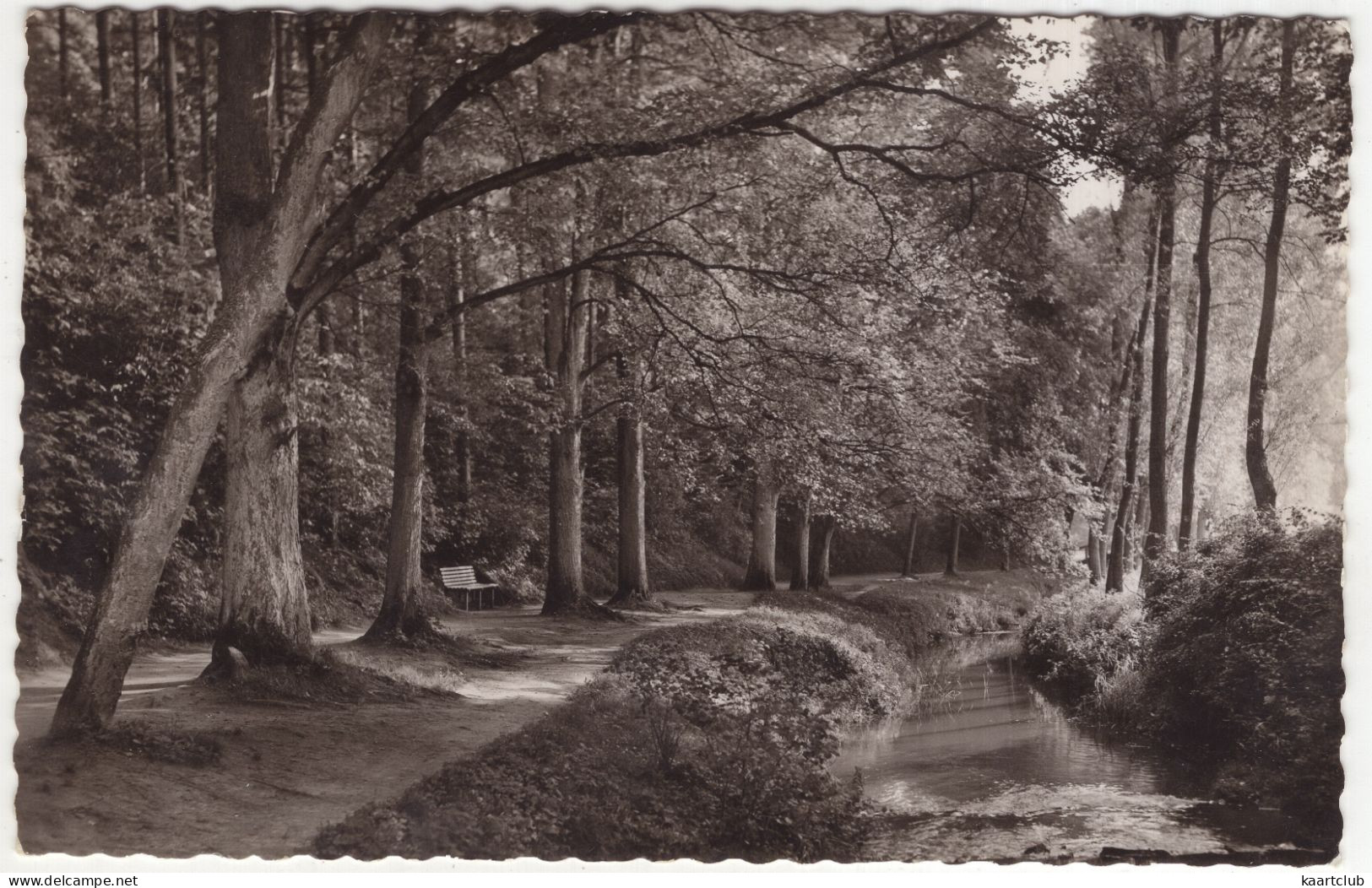 Bad Gandersheim A. Harz - Weg Zum Kurpark - (Deutschland) - 1954 - Bad Gandersheim