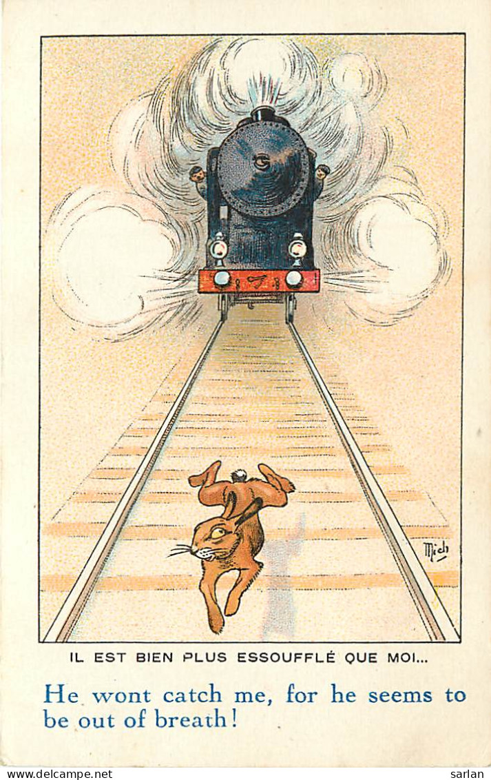 Illustration De MICH , Les Animaux Nos Freres , Lievre Lapin Train , * 263 05 - Mich