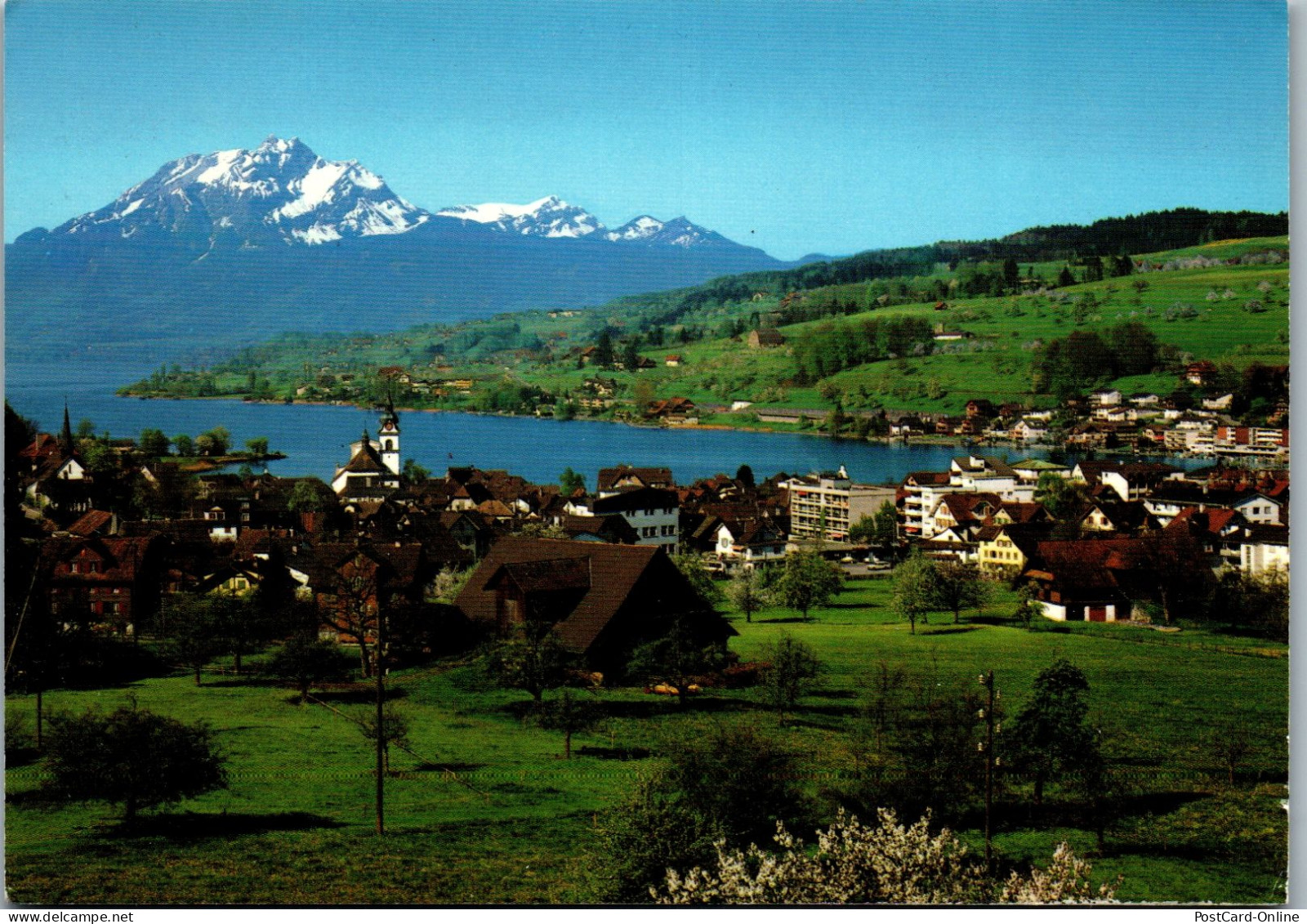 47945 - Schweiz - Küssnacht , Am Rigi , Pilatus , Panorama - Gelaufen 1982 - Küssnacht