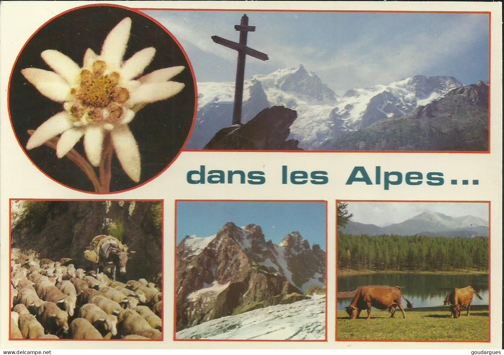 "Images De Chez Nous" - Dans Les Alpes.... Multivues - Flamme Datée 25-8-86 De Bourg-d'Oisans - (P) - Rhône-Alpes
