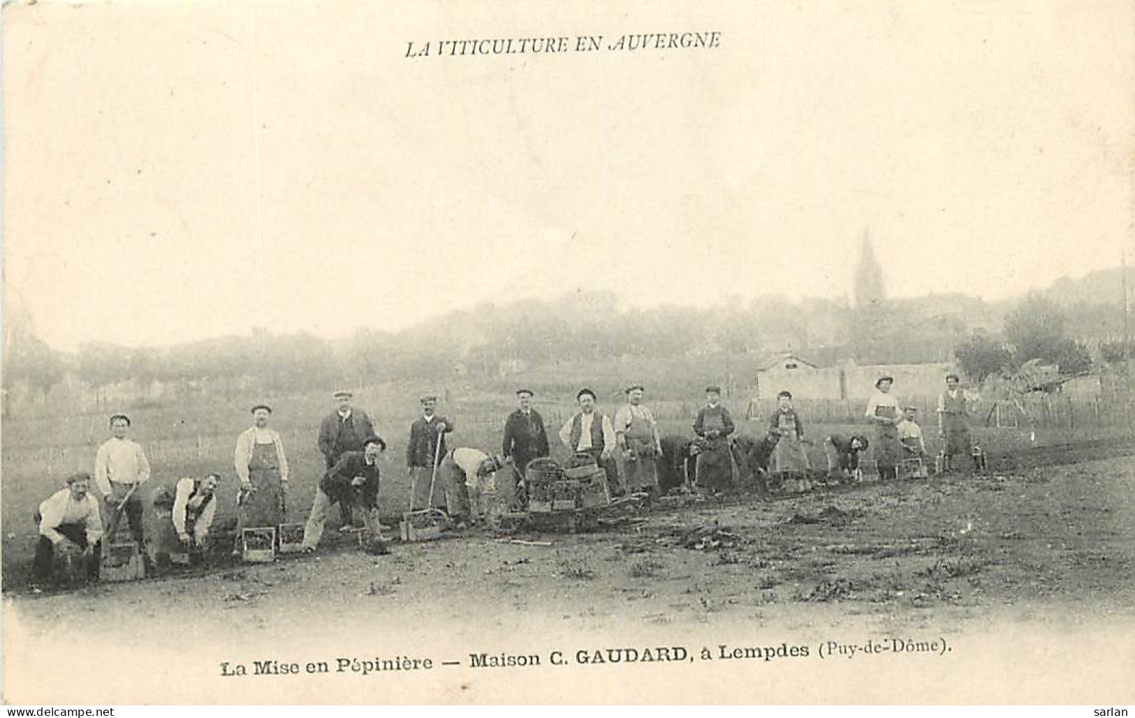 63 , LEMPDES , Maison Gaudard , La Mise En Pepiniere , * 315 79 - Lempdes