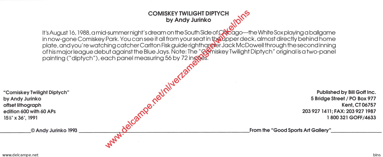 Comiskey Twilight Diptych By Andy Jurinko - Baseball - 23x9,5cm - Baseball