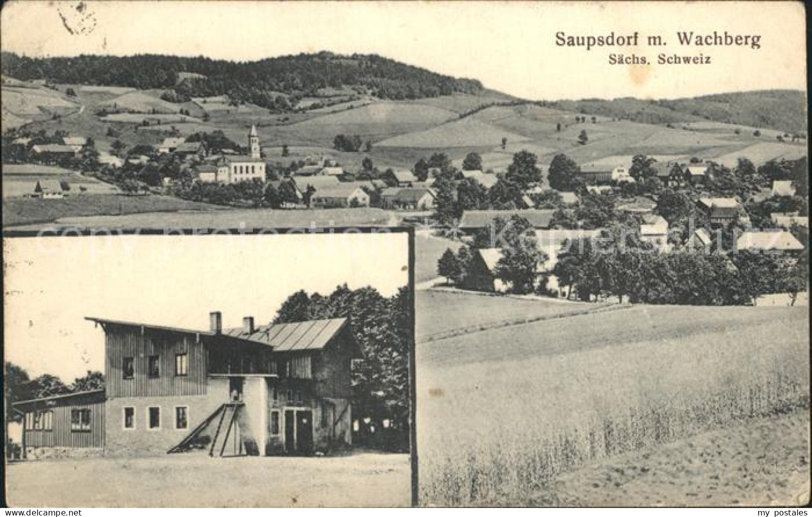 42248711 Saupsdorf Mit Wachberg Wohnhaus Saupsdorf - Kirnitzschtal