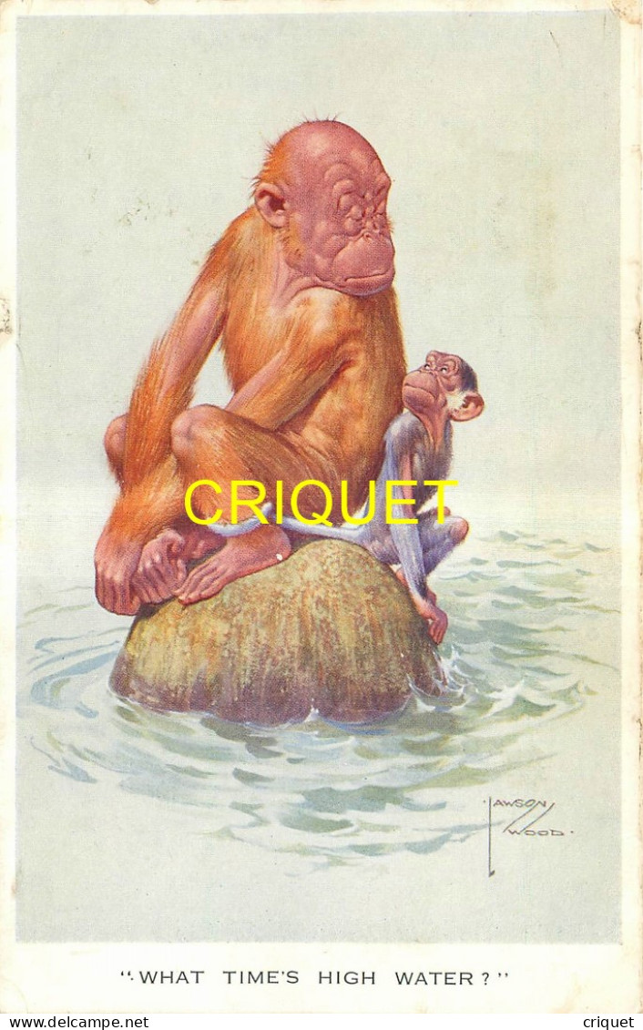 Illustrateur Wood, 2 Singes Humanisés Sur Un Rocher Au Milieu De L'eau - Wood, Lawson