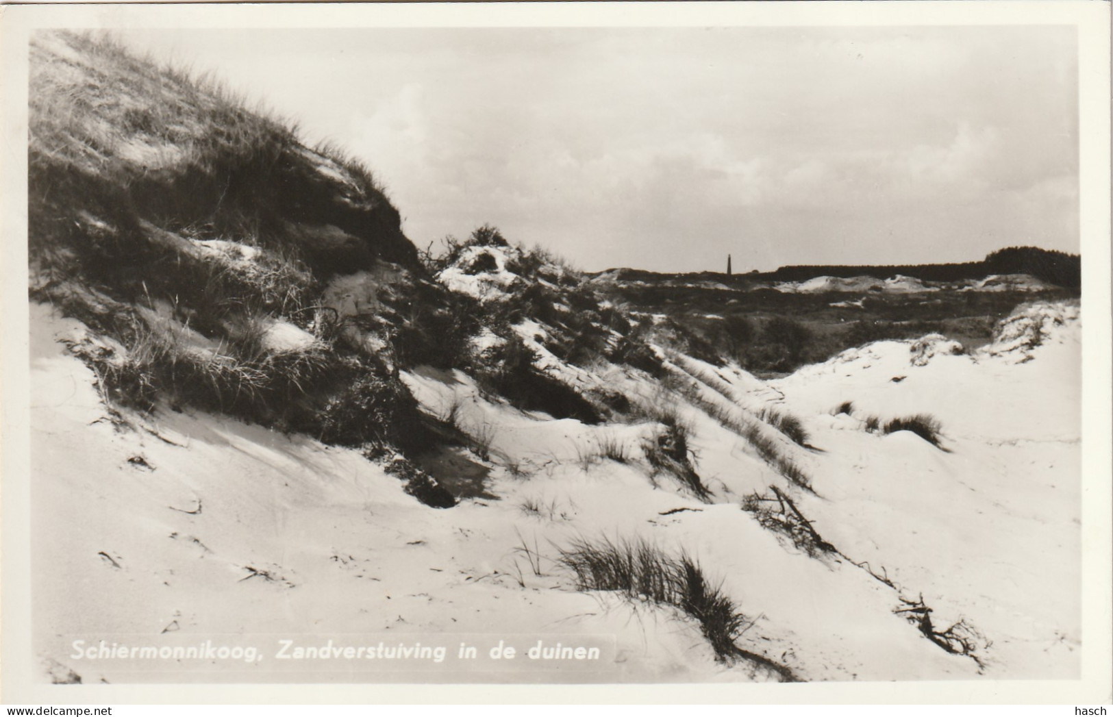 4905 139 Schiermonnikoog, Zandverstuivung In De Duinen. (Fotokaart.)  - Schiermonnikoog