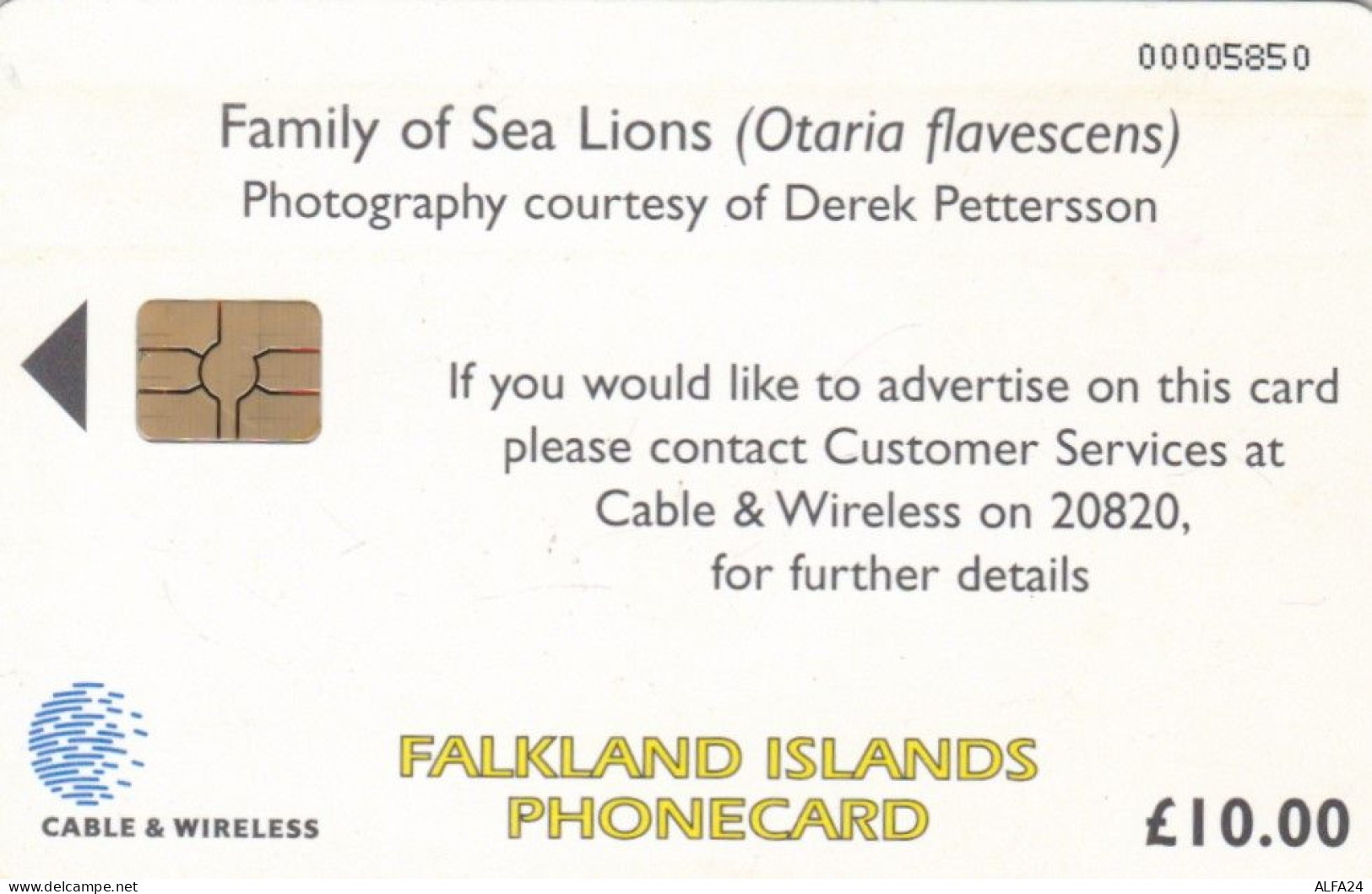 PHONE CARD FALKLAND (E79.21.4 - Falkland Islands