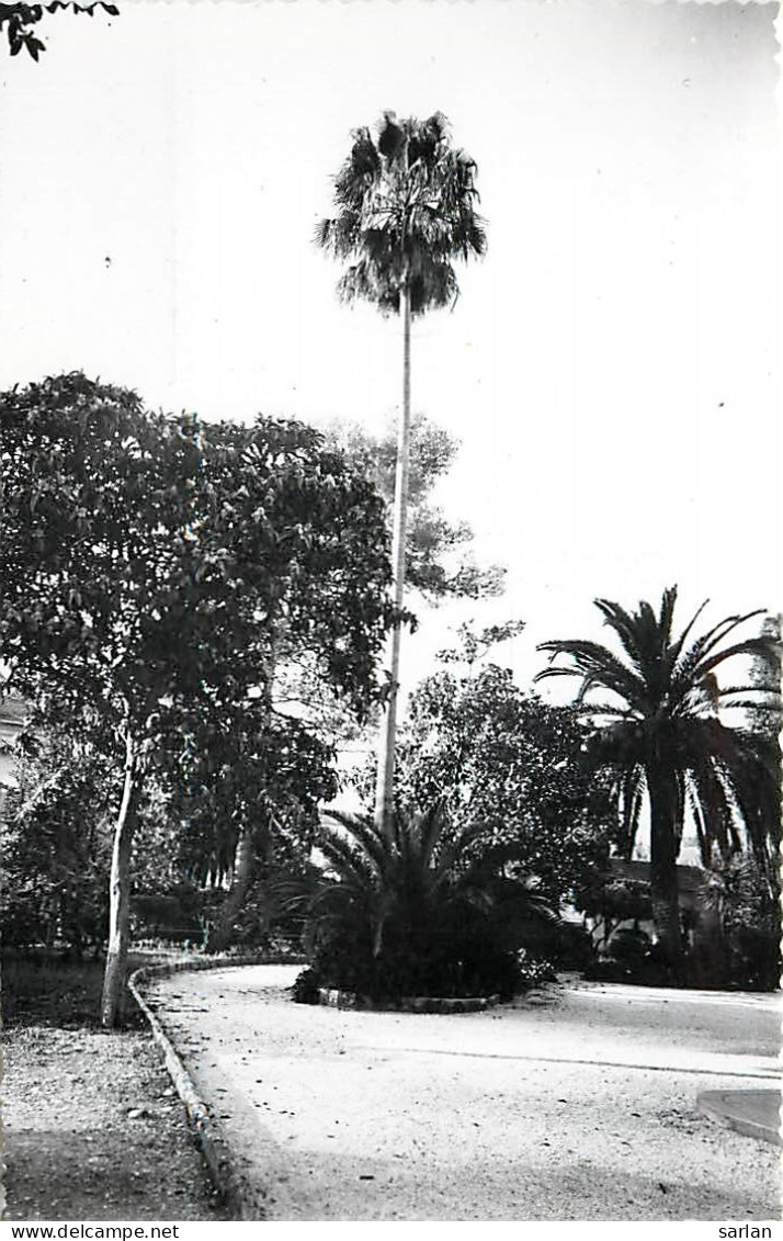 06 , NICE , FOYER SAINT DOMINIQUE , Maison De Repos , * 397 80 - Health, Hospitals