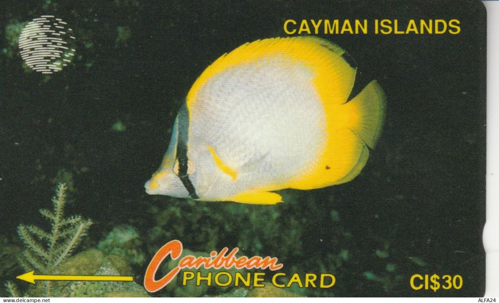 PHONE CARD CAYMAN ISLAND (E82.12.5 - Kaaimaneilanden