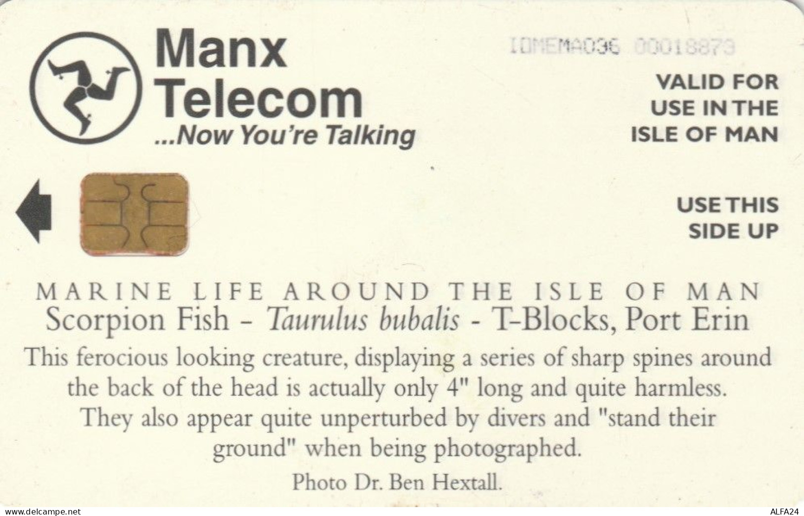 PHONE CARD ISOLA MAN (E89.16.8 - Île De Man