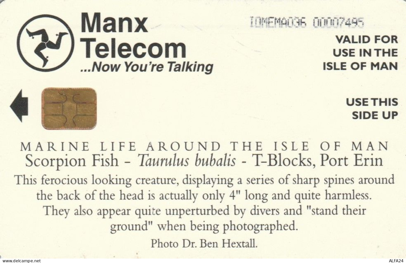 PHONE CARD ISOLA MAN (E89.16.7 - Île De Man